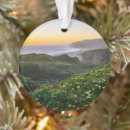Search for santa cruz ornaments Beach