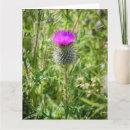 Recherche de chardon écossais vœux cartes Vert
