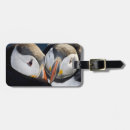 Search for ralph accessories Ralph h bendjebar