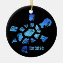 Search for testudines Reptile