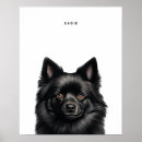 Recherche de schipperke posters Dog