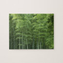 Recherche de bambou photographie Arbre
