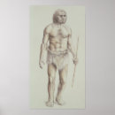 Search for evolution of man posters 20th