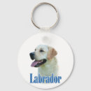 Search for yellow retriever keychains Labrador