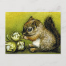 Recherche de noisettes cartes postales Faune