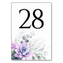 Search for succulents table cards Boho