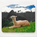 Search for llama mousepads Peru