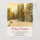 Search for winter trees postcards Snow covered
