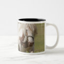 Search for clydesdale horses mugs Animal