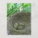 Recherche de argent cartes postales Retraite