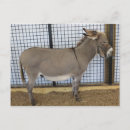 Recherche de basse cour posters Grange