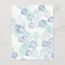Search for flower bloom postcards Pastel