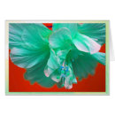Recherche de ketmie bleue Tropical