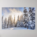 Search for ski alpin posters Alpine