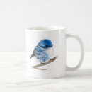Recherche de tourterelle tasses Oiseaux
