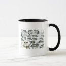 Search for rodent mugs Mouse