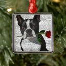 Search for boston terrier ornaments Cute boston terriers