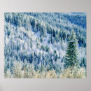 Search for washington state parks posters Forest