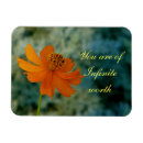 Recherche de valeur magnets Motivation