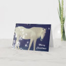 Search for arabian christmas cards White