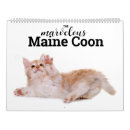 Search for maine calendars Feline