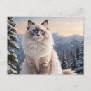 Recherche de chat neige cartes postales Paysage