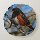 Search for russet pillows Nature