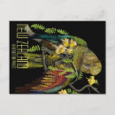 Search for new zealand birds postcards Wildlife