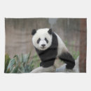 Recherche de ours cuisine linges Chine