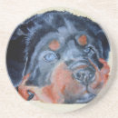 Recherche de rottweiler dessous de verres Animal