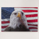 Search for american bald eagle puzzles Photograph