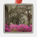 Search for savannah ornaments Usa