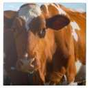 Recherche de croissance carreaux Jour