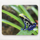 Search for close up view mousepads Animal