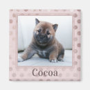 Recherche de pet photo magnets Animal