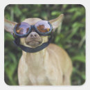 Search for goggles stickers Outdoors