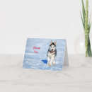 Search for puppy cards Siberian husky