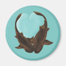 Search for shark magnets Animals