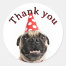 Search for pug birthday stickers Funny