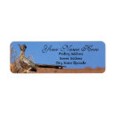Search for new mexico return address labels Desert
