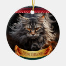 Search for maine coon ornaments Kitten