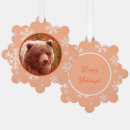 Search for grizzly bears ornaments Brown bear