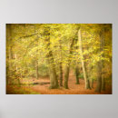 Recherche de woodland posters Pour tous