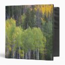 Search for aspen binders Fall