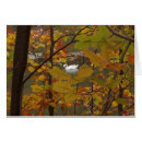 Search for ponds note cards Orange