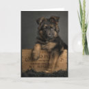 Search for german shepherd puppy cards Dog