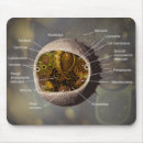 Search for cells mousepads Science