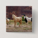 Search for reserved buttons Animal