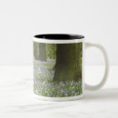 Search for bluebell mugs Tree