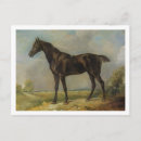 Search for 1805 postcards John